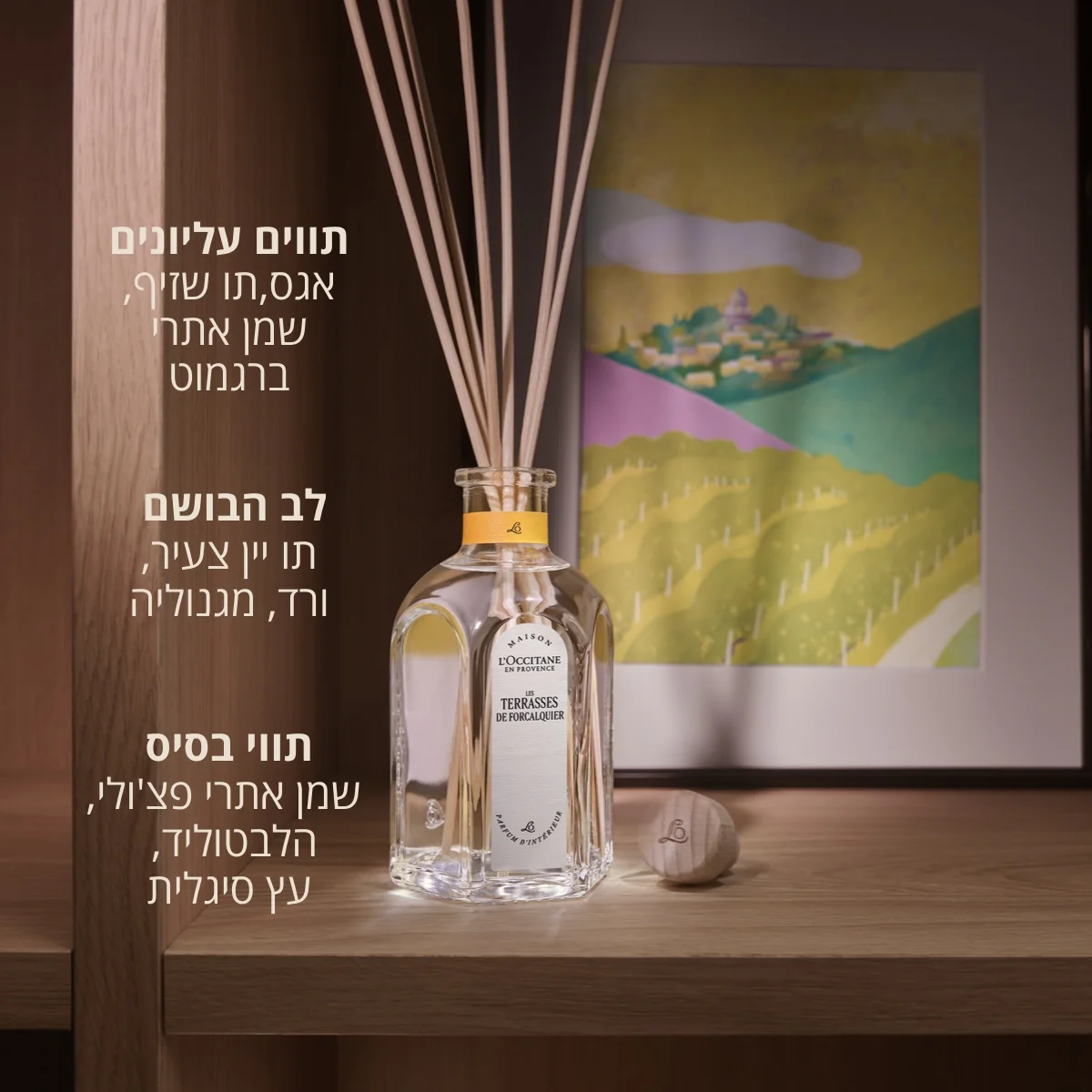 תמונת מוצר 2