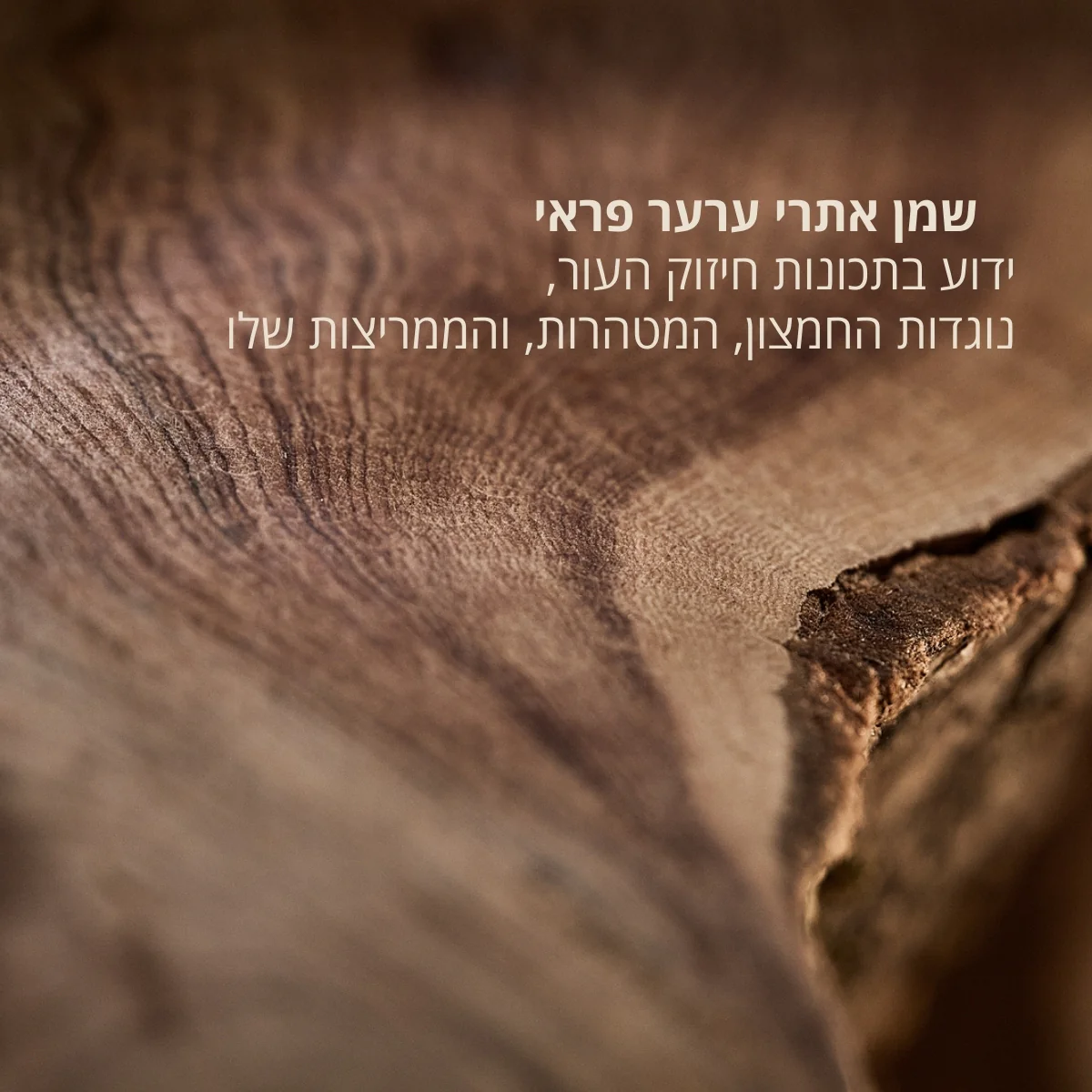 תמונת מוצר 3
