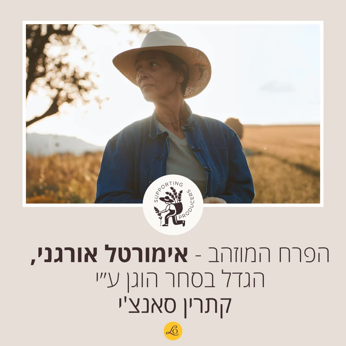 תמונת מוצר 3