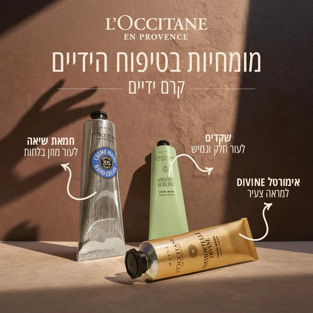 תמונת מוצר 4
